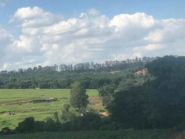 Sítio e chácara venda em Região Geográfica Imediata de Lavras, Nepomuceno