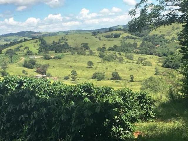 Sítio e chácara venda em Região Geográfica Imediata de Lavras, Nepomuceno
