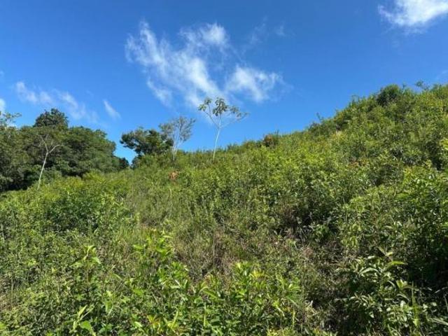 Sítio e chácara venda em Região Geográfica Imediata de Lavras, Nepomuceno