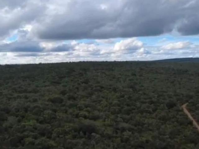 Sítio e chácara venda em Região Geográfica Imediata de Salinas, Ninheira