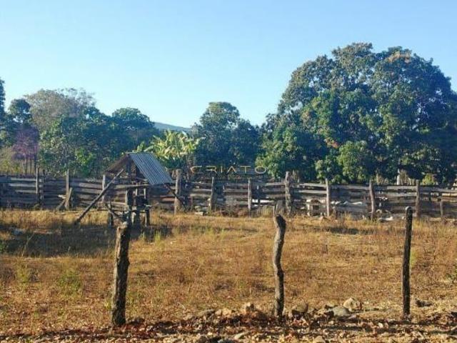 Sítio e chácara venda em Região Geográfica Imediata de Uruaçu - Niquelândia, Niquelândia