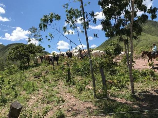 Sítio e chácara venda em Região Geográfica Imediata de Uruaçu - Niquelândia, Niquelândia