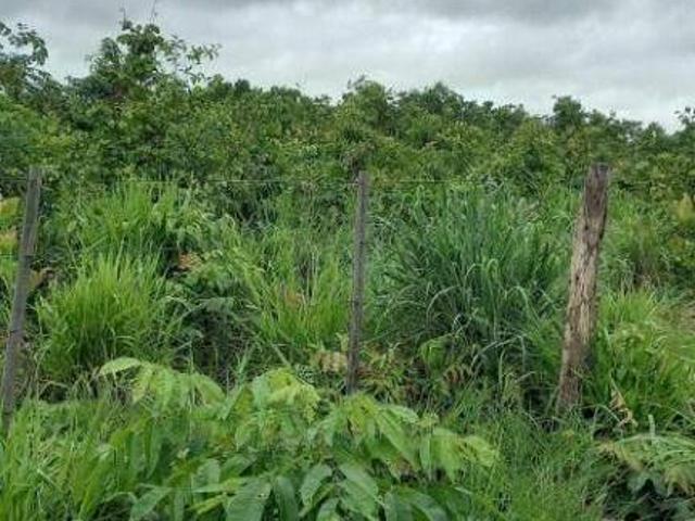 Sítio e chácara venda em Região Geográfica Imediata de Cuiabá, Região Metropolitana do Vale do Rio Cuiabá