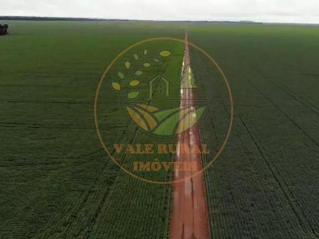 Sítio e chácara venda em Região Geográfica Imediata de Cuiabá, Região Metropolitana do Vale do Rio Cuiabá
