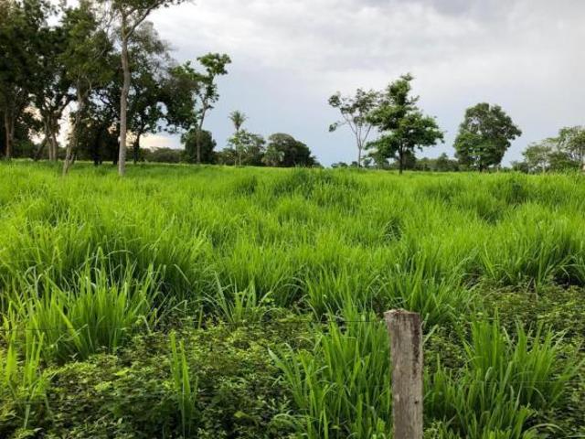 Sítio e chácara venda em Região Geográfica Imediata de Cuiabá, Região Metropolitana do Vale do Rio Cuiabá