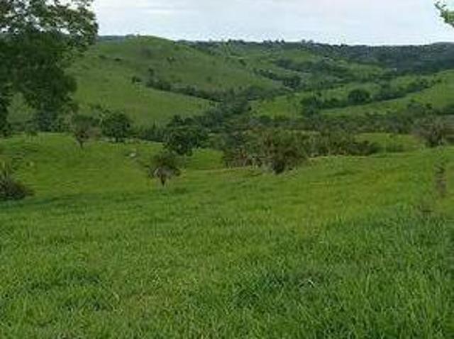 Sítio e chácara venda em Região Geográfica Imediata de Ceres - Rialma - Goianésia, Nova América