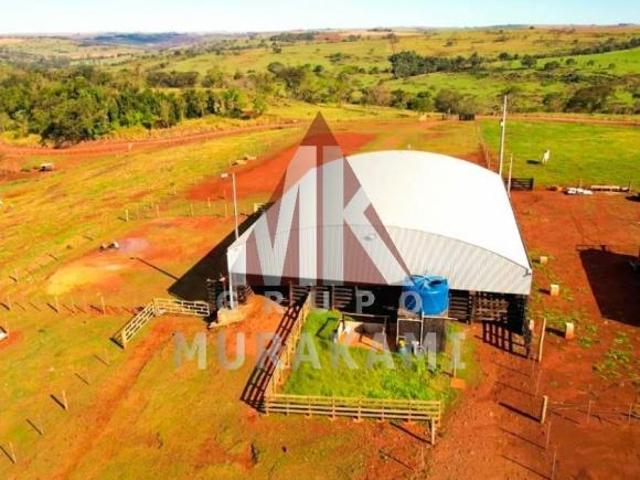 Sítio e chácara venda em Região Geográfica Imediata de Cascavel, Nova Aurora