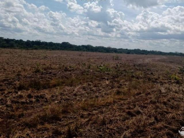 Sítio e chácara venda em Região Geográfica Imediata de Cuiabá, Nova Brasilândia
