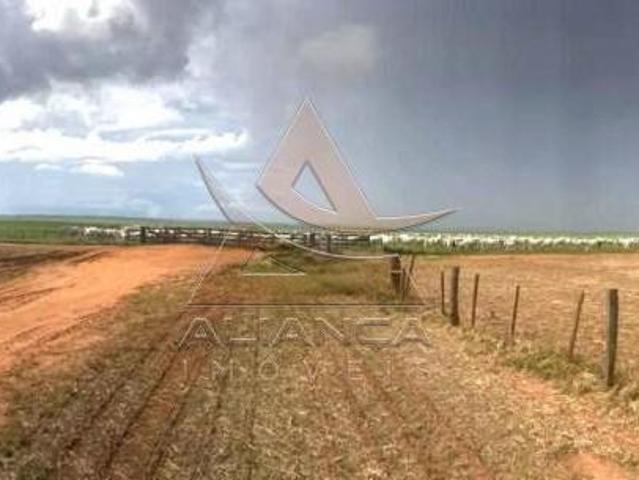 Sítio e chácara venda em Região Geográfica Imediata de Diamantino, Nova Maringa