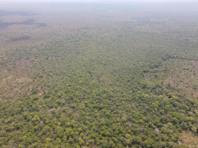 Sítio e chácara venda em Região Geográfica Imediata de Água Boa, Mato Grosso