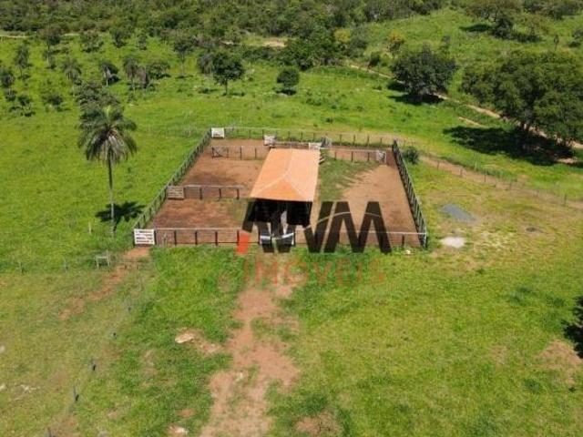 Sítio e chácara venda em Região Geográfica Imediata de Posse-Campos Belos, Nova Roma