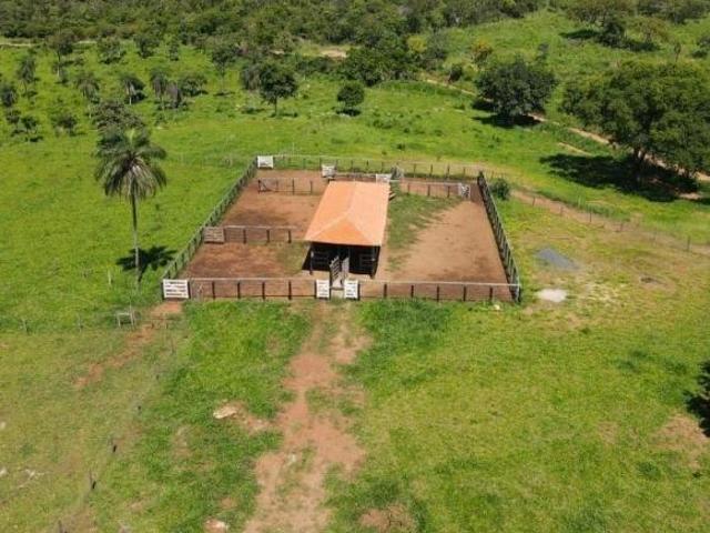 Sítio e chácara venda em Região Geográfica Imediata de Posse-Campos Belos, Nova Roma
