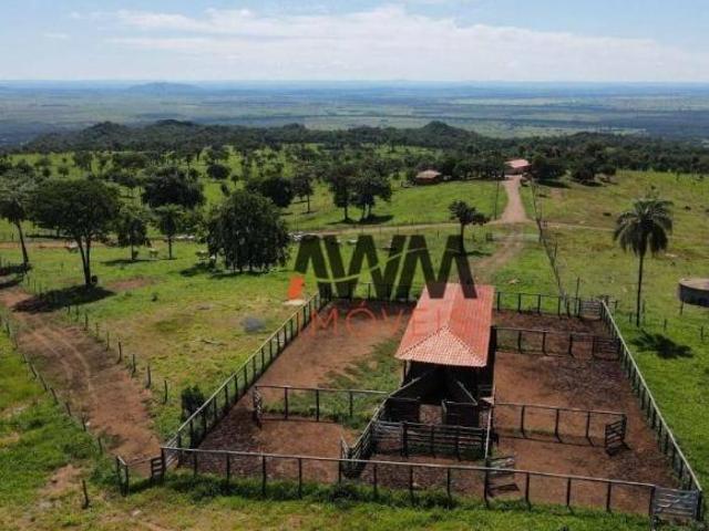 Sítio e chácara venda em Nova Roma, Região Geográfica Intermediária de Luziânia-Águas Lindas de Goiás