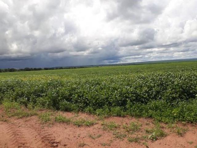 Sítio e chácara venda em Região Geográfica Imediata de Barra do Garças, Nova Xavantina