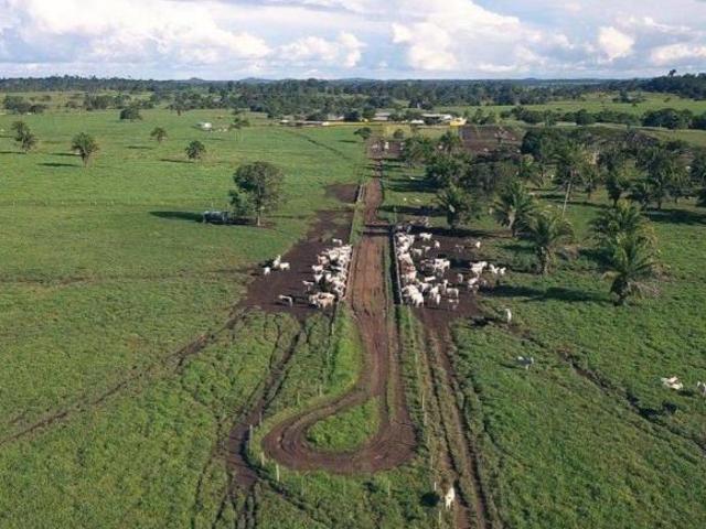 Sítio e chácara venda em Região Geográfica Imediata de Juara, Novo Horizonte do Norte