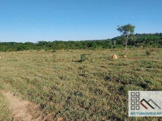 Sítio e chácara venda em Região Geográfica Imediata de Peixoto de Azevedo - Guarantã do Norte, Novo Mundo