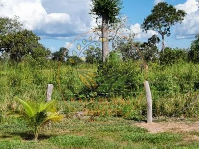 Sítio e chácara venda em Região Geográfica Imediata de Confresa - Vila Rica, Novo Santo Antônio
