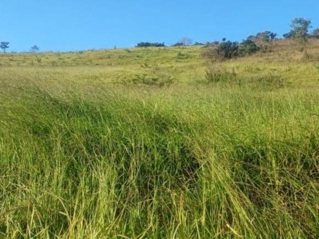 Sítio e chácara venda em Região Geográfica Imediata de Oliveira, Oliveira
