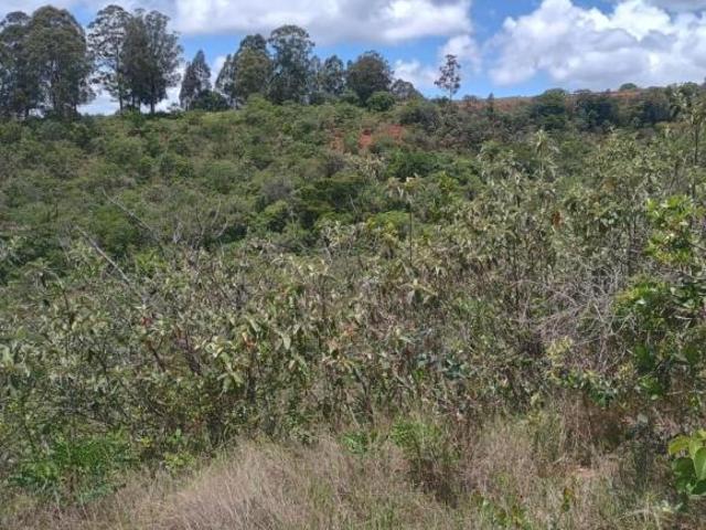 Sítio e chácara venda em Região Geográfica Imediata de Oliveira, Oliveira