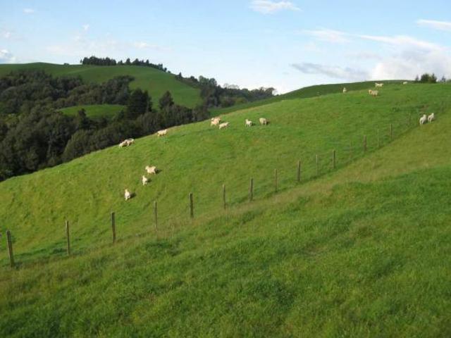 Sítio e chácara venda em Ortigueira, Região Geográfica Intermediária de Ponta Grossa