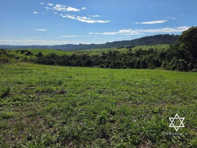 Sítio e chácara venda em Região Geográfica Imediata de Telêmaco Borba, Ortigueira