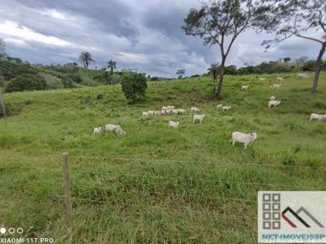 Sítio e chácara venda em Região Geográfica Imediata de Águas Lindas de Goiás, Região Integrada de Desenvolvimento do Distrito Federal e Entorno