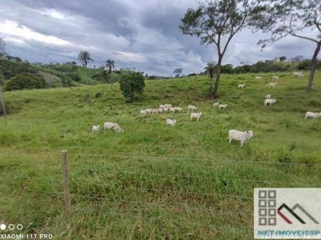 Sítio e chácara venda em Região Geográfica Imediata de Águas Lindas de Goiás, Região Integrada de Desenvolvimento do Distrito Federal e Entorno