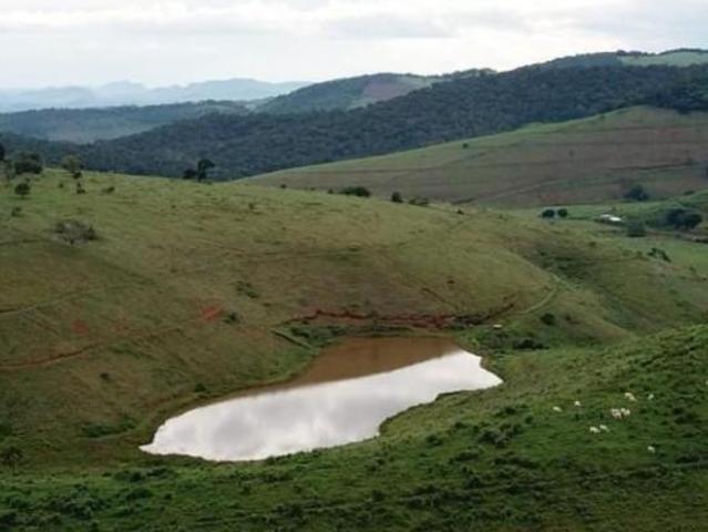Sítio e chácara venda em Região Geográfica Imediata de Cataguases, Palma