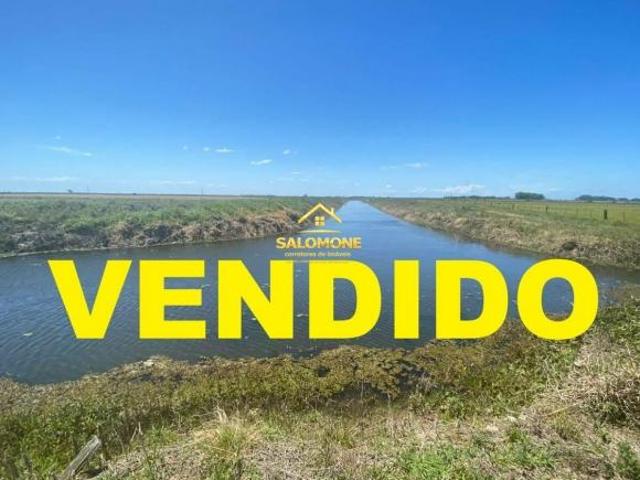 Sítio e chácara venda em Palmares do Sul
