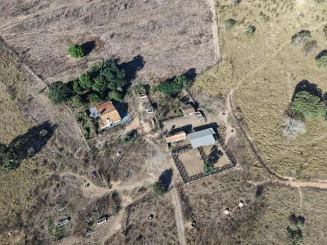 Sítio e chácara venda em Papagaios, Região Geográfica Intermediária de Divinópolis