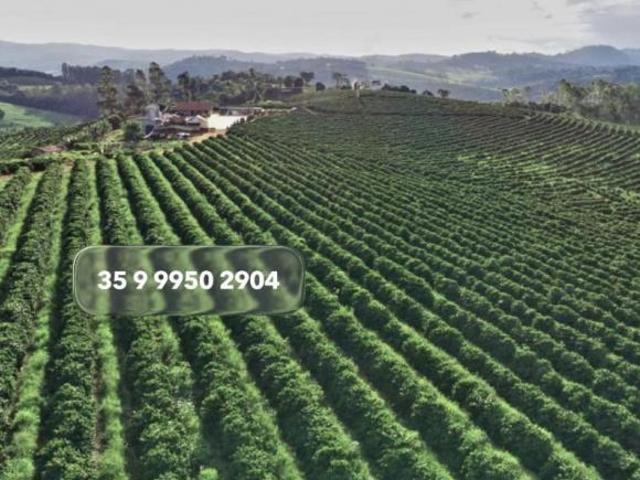 Sítio e chácara venda em Região Geográfica Imediata de Alfenas, Paraguaçu