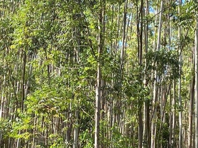 Sítio e chácara venda em Região Imediata de São José dos Campos, Região Metropolitana do Vale do Paraíba e Litoral Norte