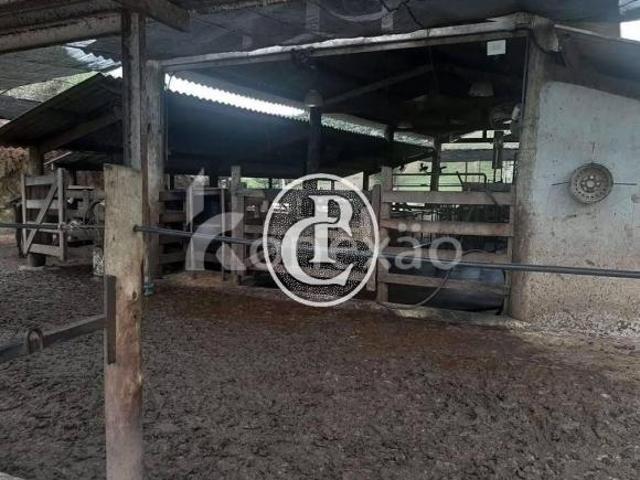 Sítio e chácara venda em Vila Nova, Itapeva