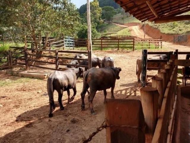 Sítio e chácara venda em Região Imediata de São José dos Campos, Região Metropolitana do Vale do Paraíba e Litoral Norte