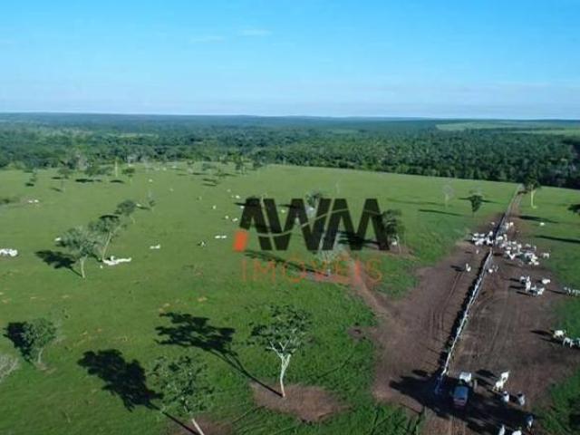 Sítio e chácara venda em Região Geográfica Imediata de Primavera do Leste, Paranatinga