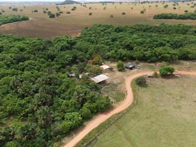 Sítio e chácara venda em Região Geográfica Imediata de Palmeiras de Goiás, Paraúna