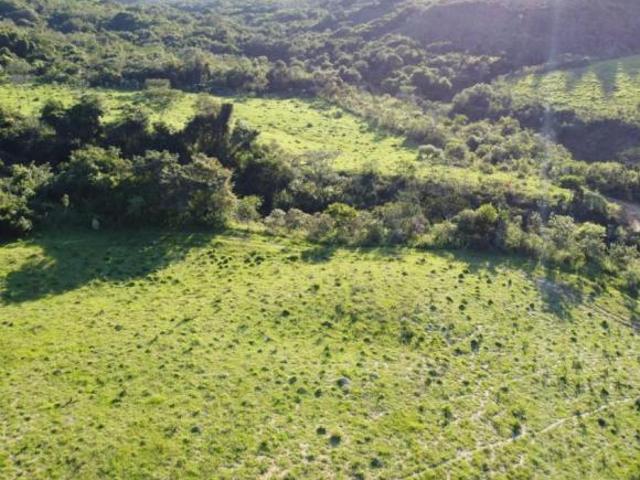 Sítio e chácara venda em Região Geográfica Imediata de Oliveira, Passa Tempo