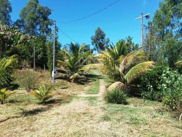 Sítio e chácara venda em Região Geográfica Imediata de Patos de Minas, Patos de Minas