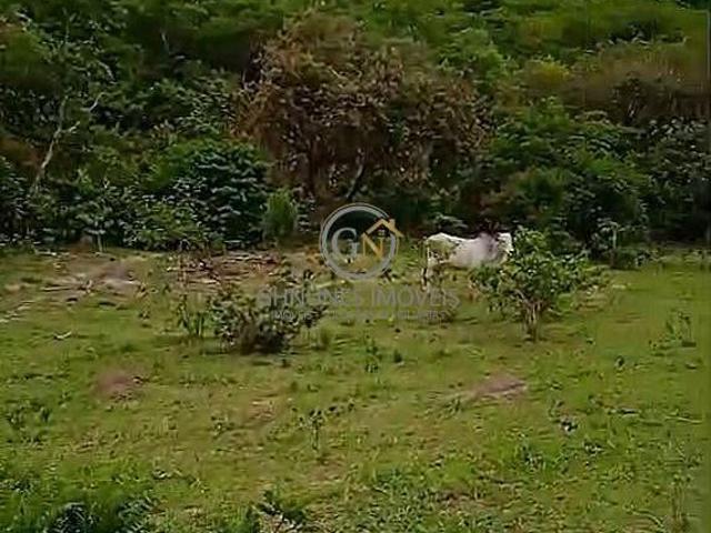Sítio e chácara venda em Pedra Azul, Região Sudeste