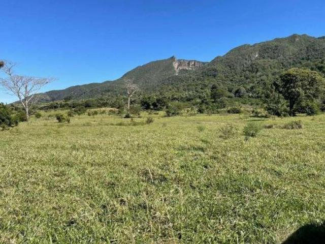 Sítio e chácara venda em Região Geográfica Imediata de Rondonópolis, Pedra Preta