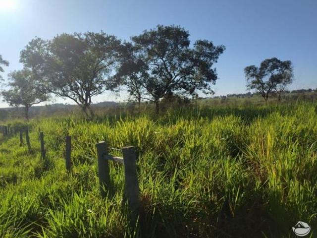 Sítio e chácara venda em Pedra Preta, Região Geográfica Intermediária de Rondonópolis