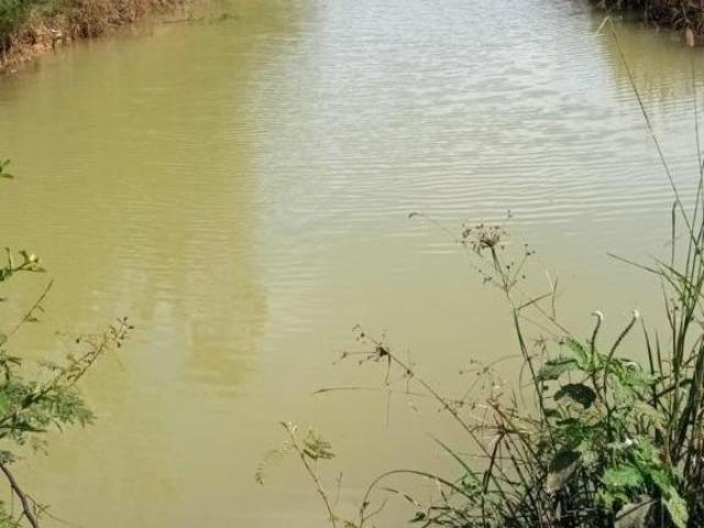 Sítio e chácara venda em Região Geográfica Imediata de Januária, Pedras de Maria da Cruz