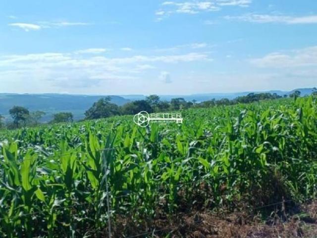 Sítio e chácara venda em Pedregulho