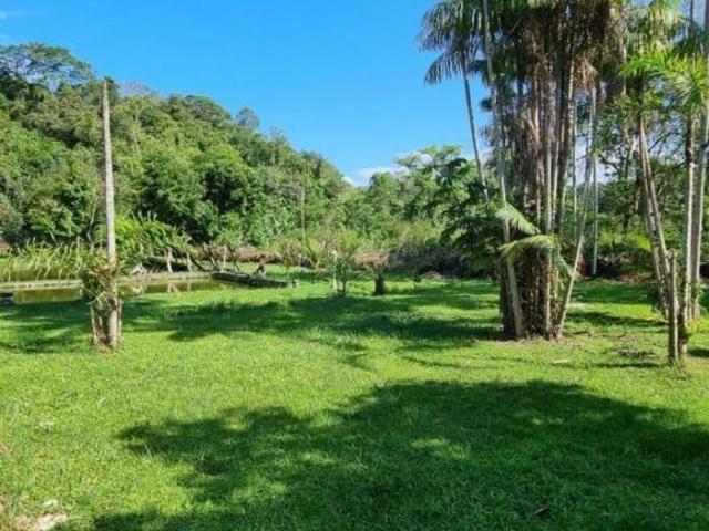 Sítio e chácara venda em Região Imediata de Santos, Pedro de Toledo