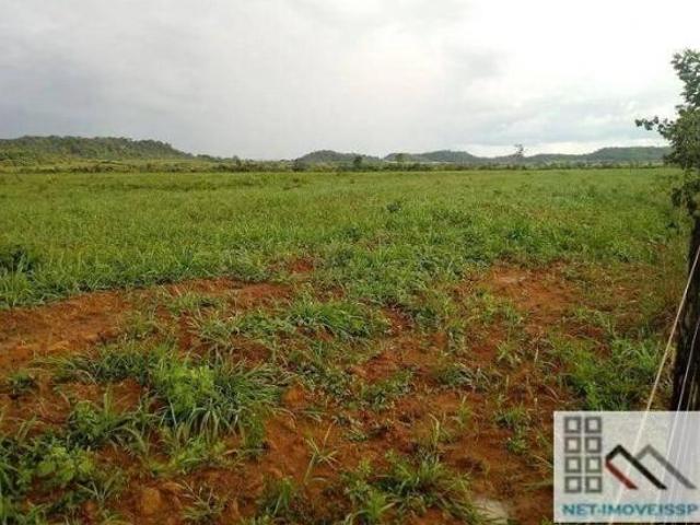 Sítio e chácara venda em Região Geográfica Imediata de Peixoto de Azevedo - Guarantã do Norte, Peixoto de Azevedo
