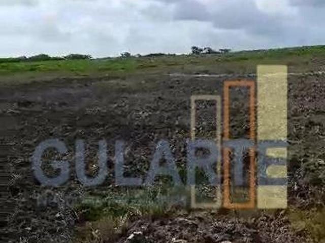 Sítio e chácara venda em Região Geográfica Imediata de Pelotas, Aglomeração Urbana do Sul
