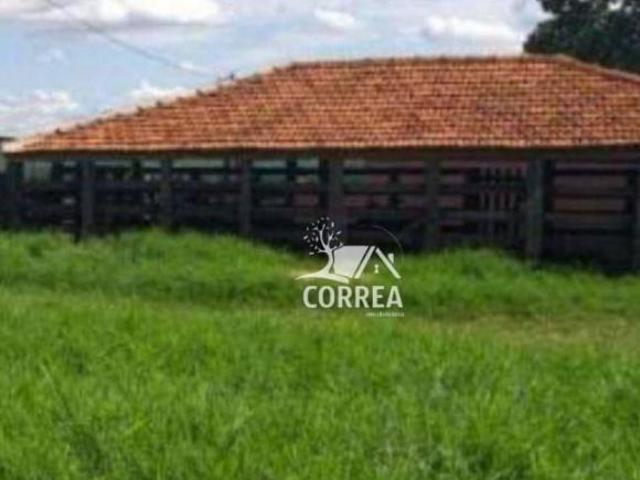 Sítio e chácara venda em Região Imediata de Birigui-Penápolis, Penápolis