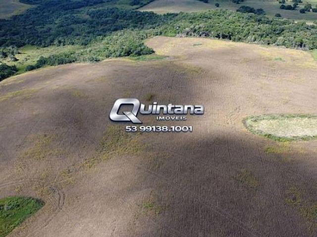Sítio e chácara venda em Região Geográfica Imediata de Bagé, Pinheiro Machado