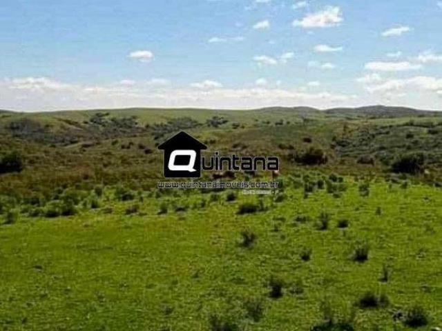 Sítio e chácara venda em Região Geográfica Imediata de Bagé, Pinheiro Machado