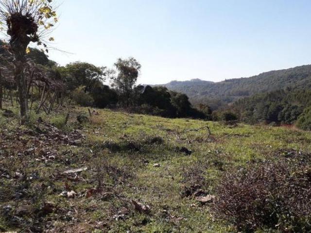 Sítio e chácara venda em Região Geográfica Imediata de Bento Gonçalves, Pinto Bandeira